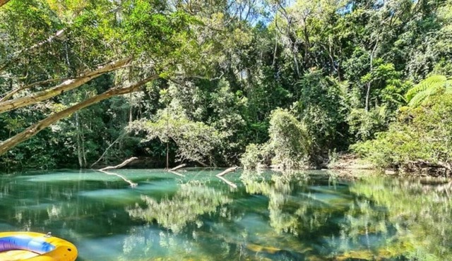 Pristine Rainforest retreat