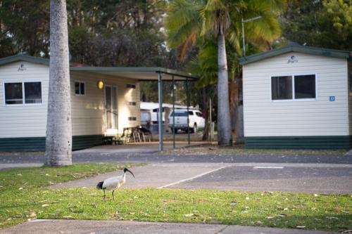 Reflections Coffs Harbour - Holiday Park