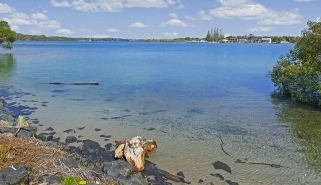 Riverview Cottage - Water Frontage - Family & Group centric!