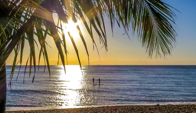 Roydon Beachfront Apartments