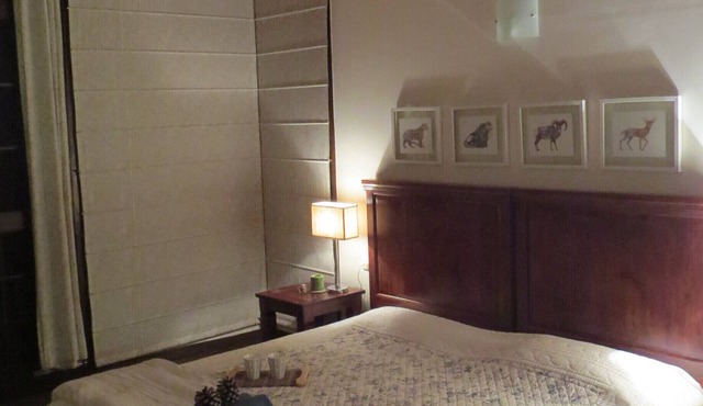 Seclude Kasauli- Starry Starry Nights