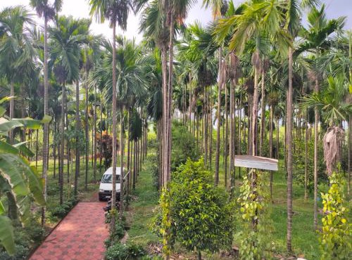 Silent River Homestay