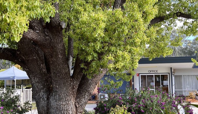 Sturt Motel