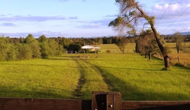 Summerfield - your home in the Hunter