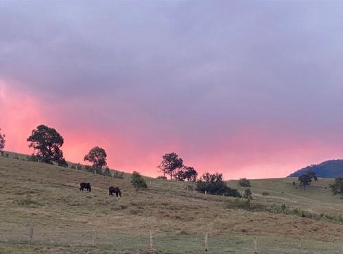 Tangory Farmstay