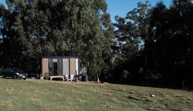 The Kinglake Summary: