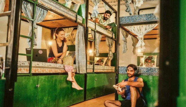 Turtle Hostel Udaipur- 10 mtr from Lake