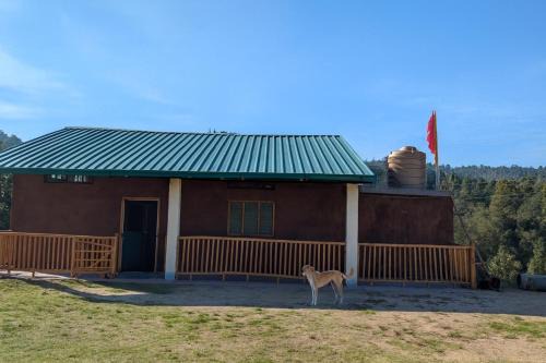 Vann Stay - Into the wild back to the Farm