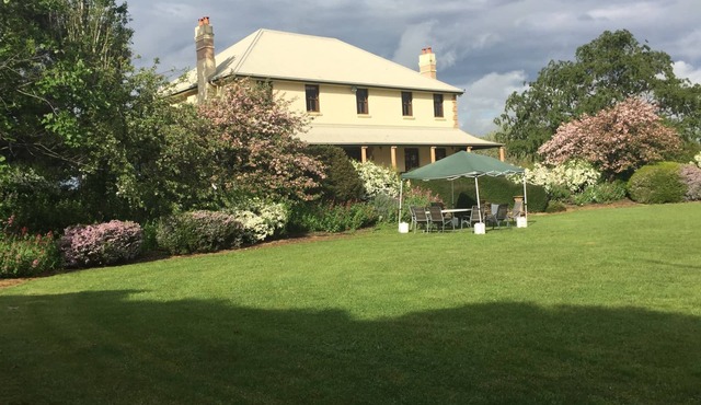 Wallaroo Wines homestead in the vines
