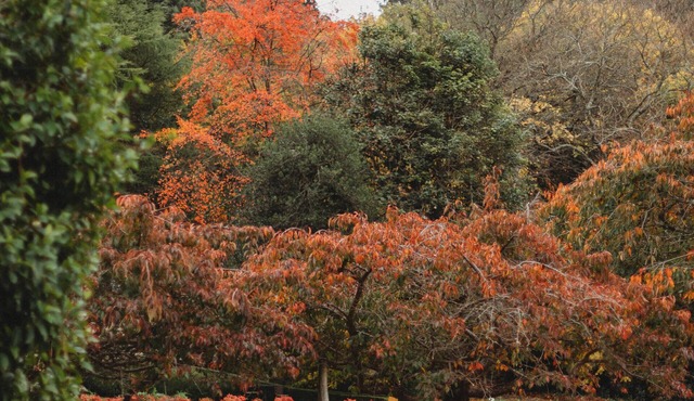 Weardale Estate