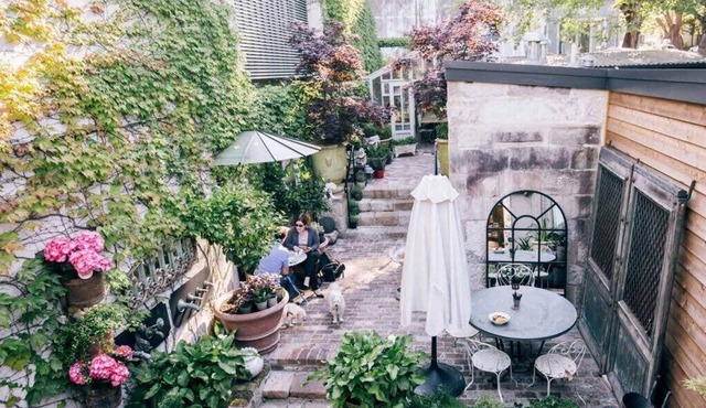 Woollahra Wonder Summ