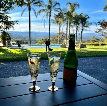 Yarra Valley Views
