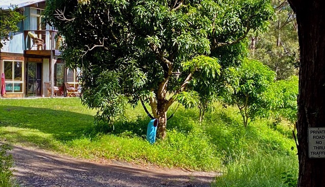 Yarrahapinni Off Grid nSpacious & cosy.nClose to Beach & National Park