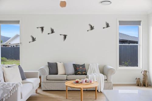 Zanda - birdwatchers paradise