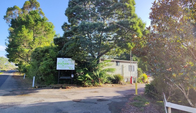 Zeehan Bush Camp