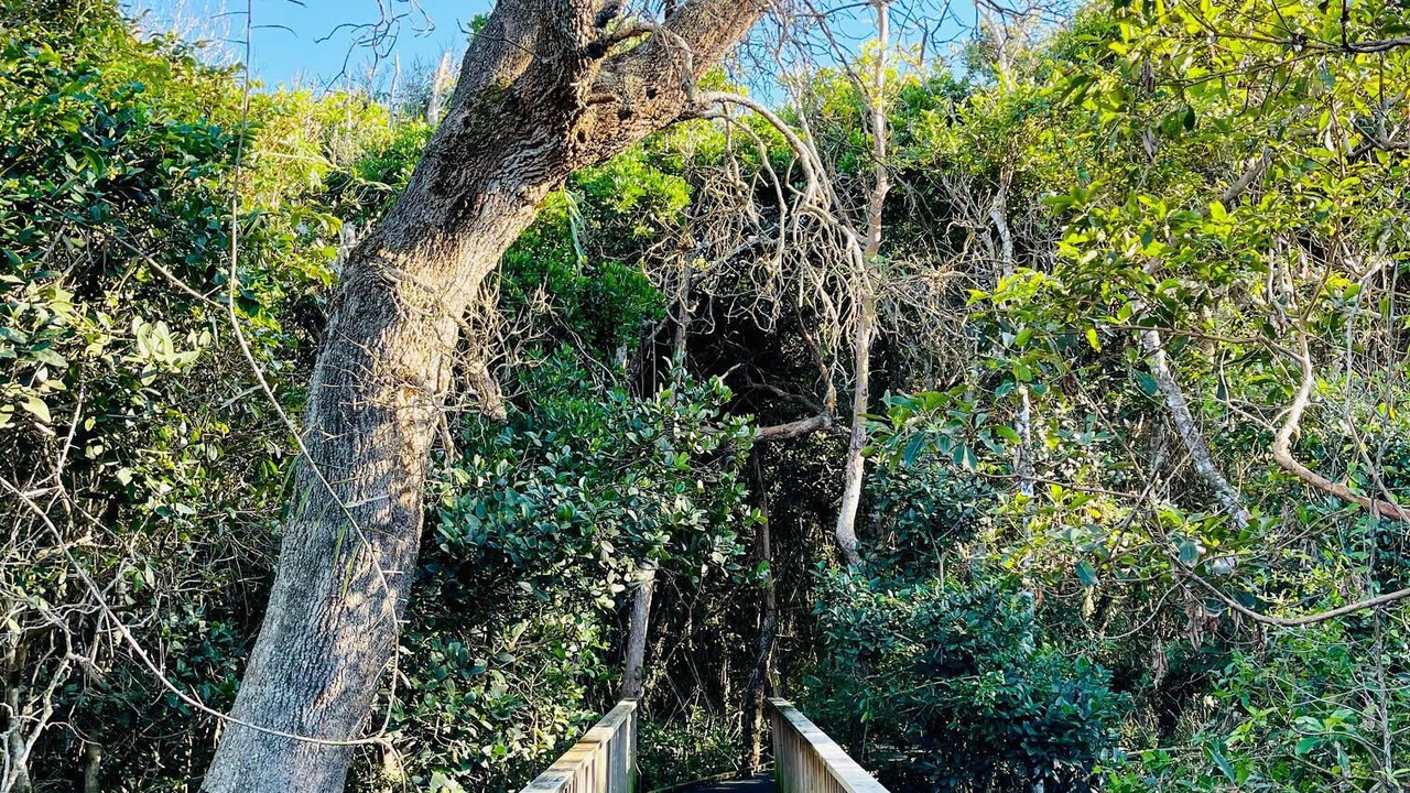 Photo of Outdoor in Lake Cathie