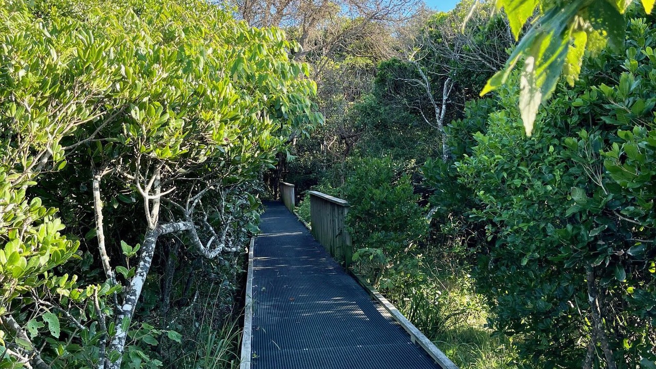 Photo of Others in Lake Cathie
