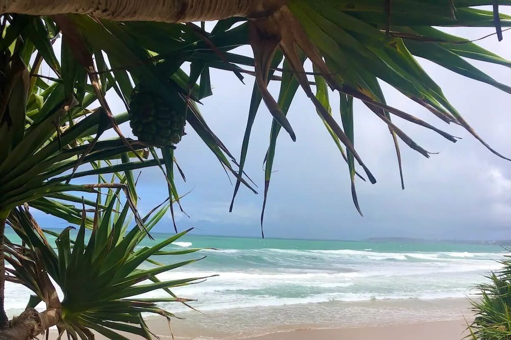Photo of Outdoor in Corindi Beach