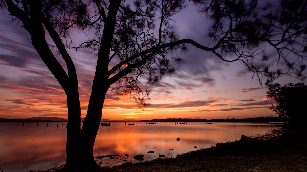 Photo of Others in Forster