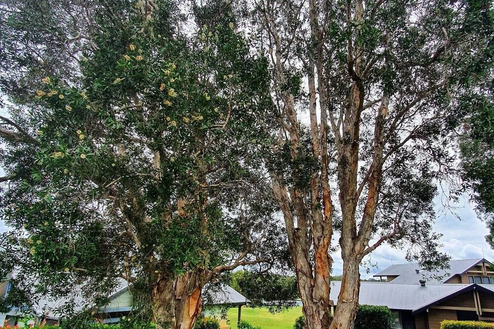 Photo of Outdoor in Salamander Bay