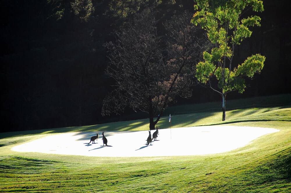 Photo of Others in Kangaroo Valley
