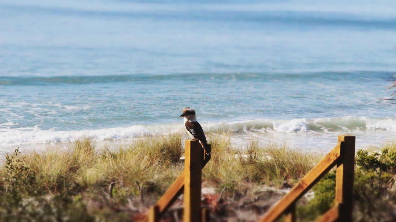 Photo of Others in Callala Beach