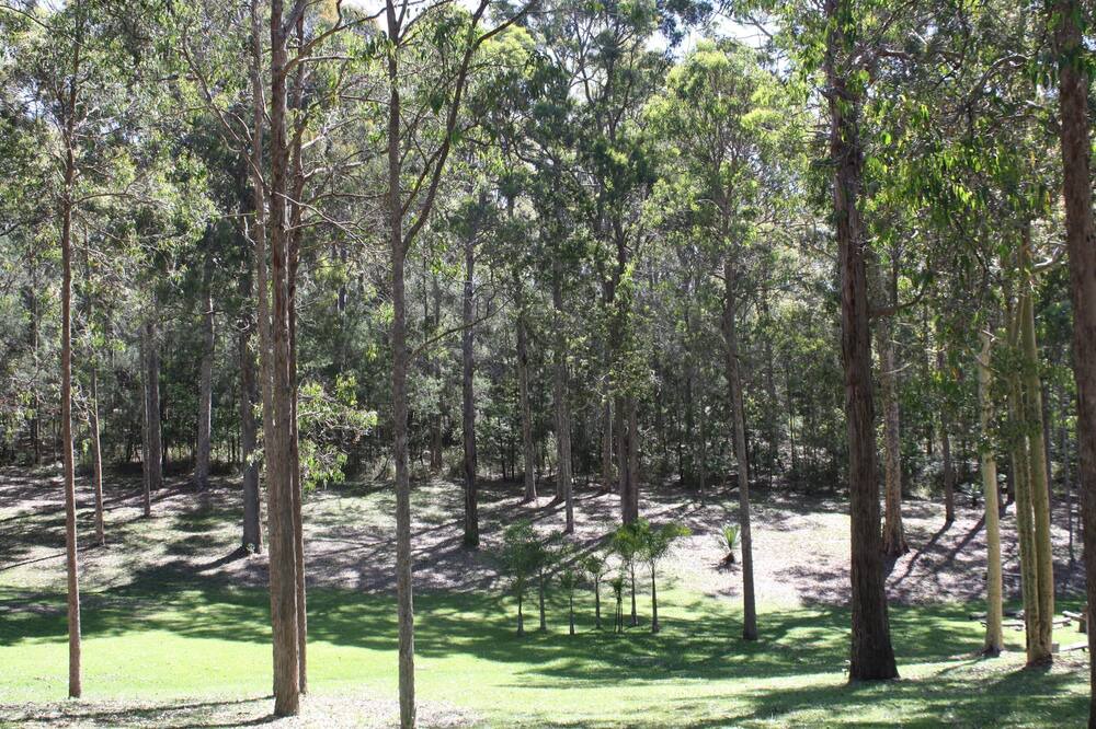 Photo of Outdoor in Barragga Bay