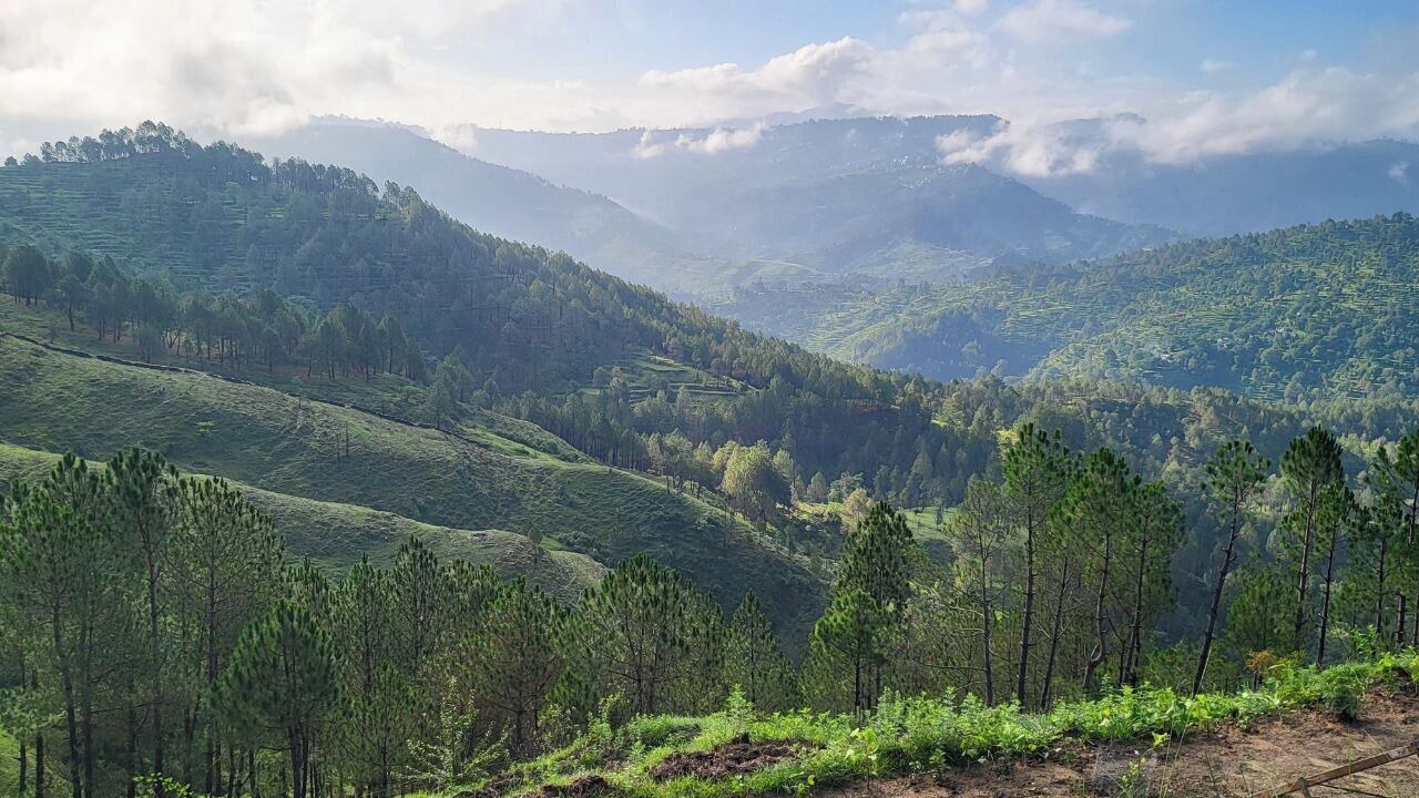 Photo of Others in Almora