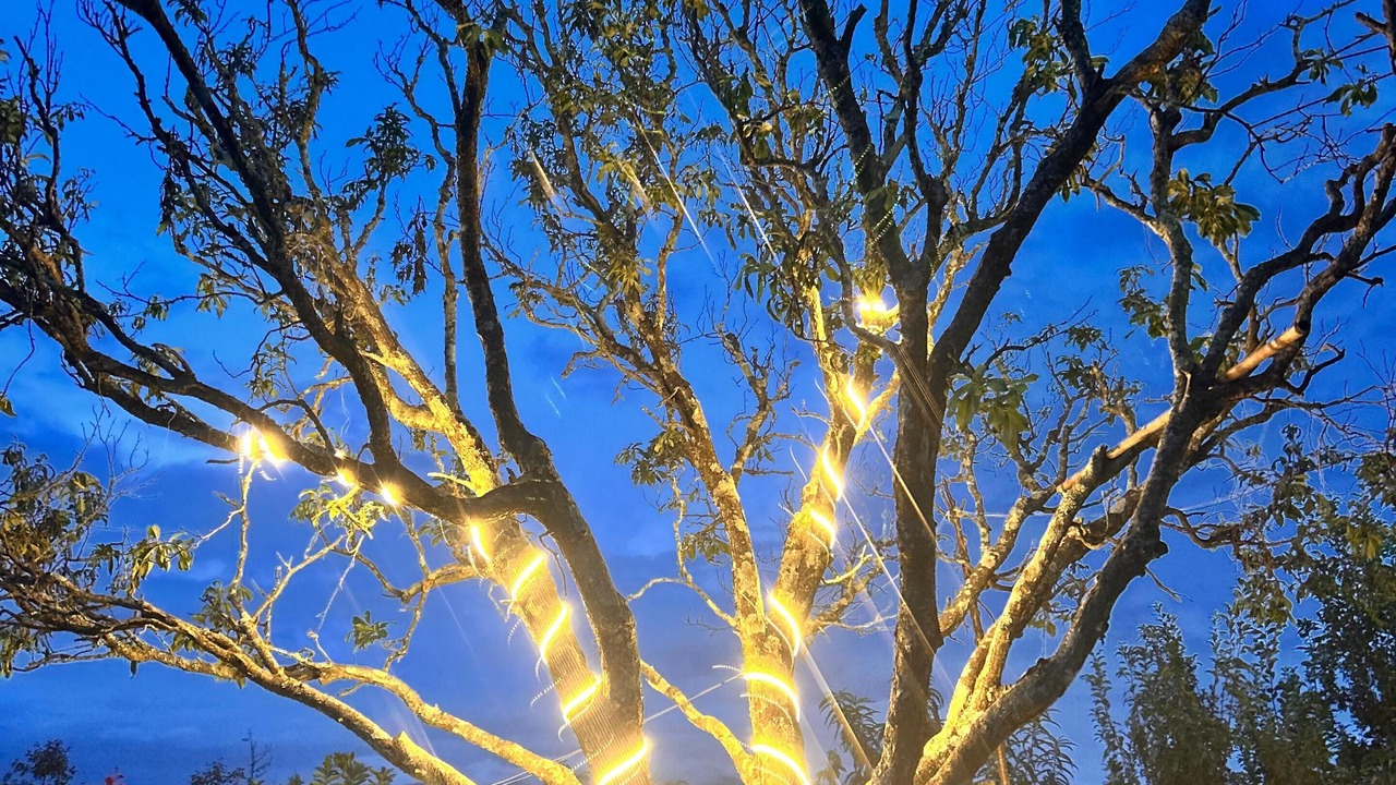 Photo of Outdoor in Kaul