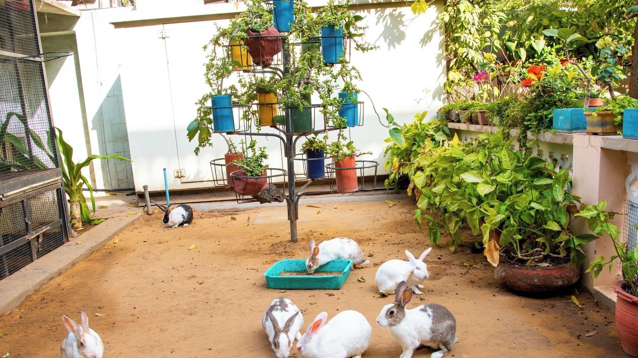 Photo of Outdoor in Bani Park
