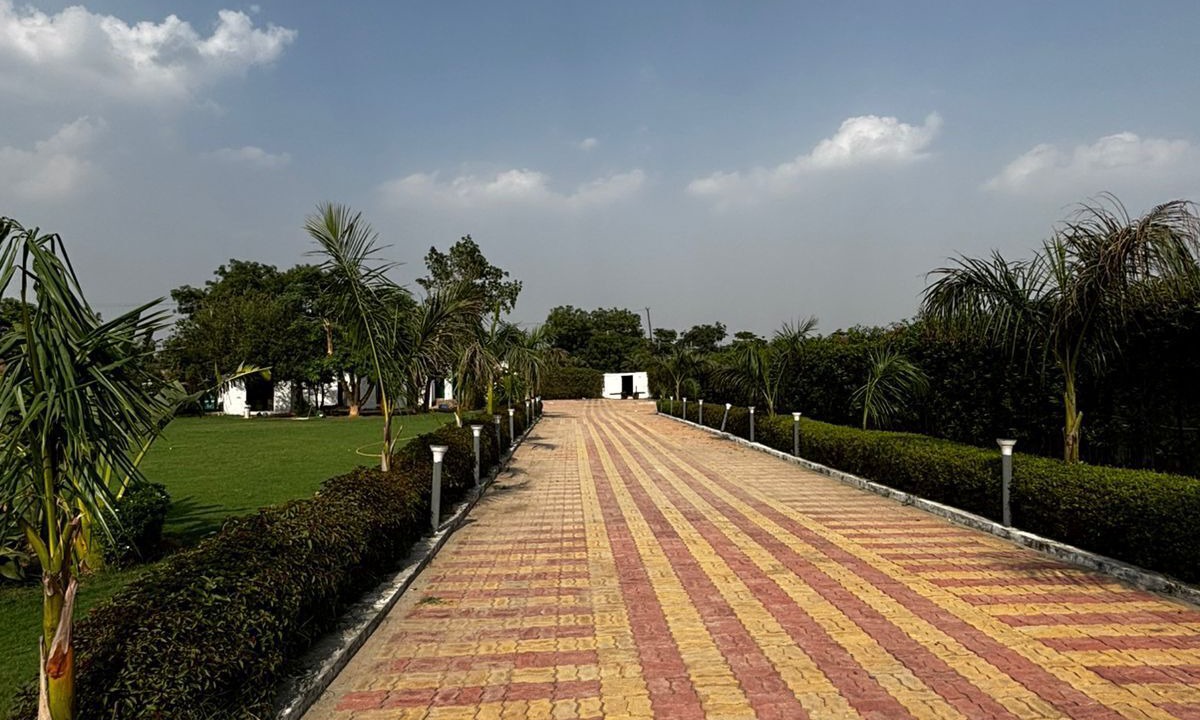 Photo of Livingroom in Faridabad