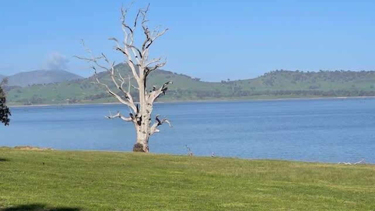 Photo of Others in Bethanga