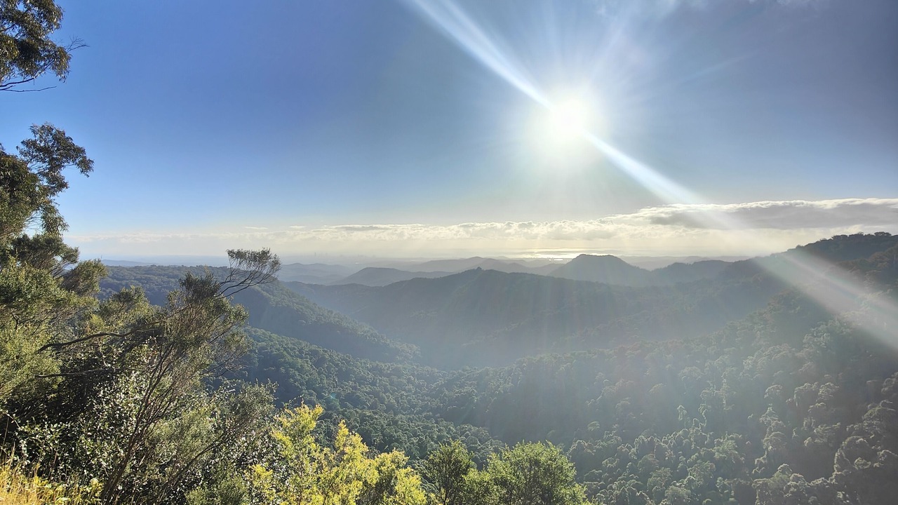 Photo of Others in Springbrook