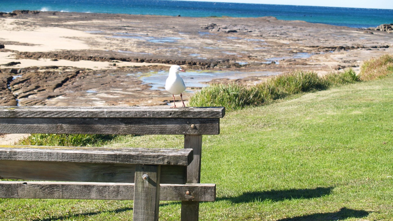 Photo of Others in Ulladulla