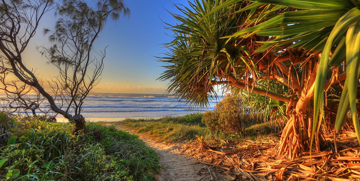 Photo of Others in Iluka