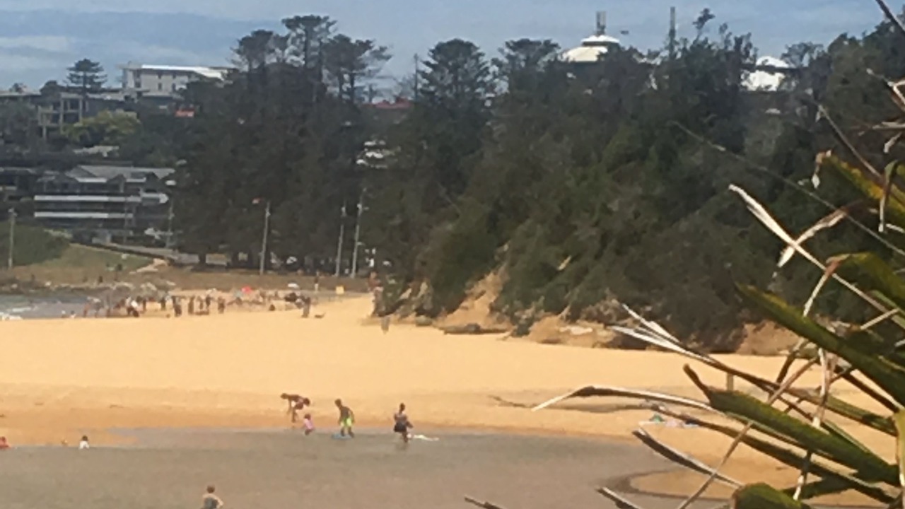 Photo of Others in Wamberal