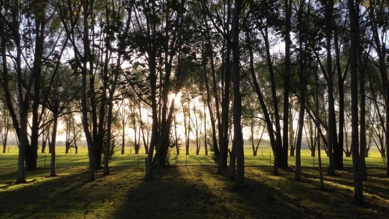 Photo of Outdoor in Moruya