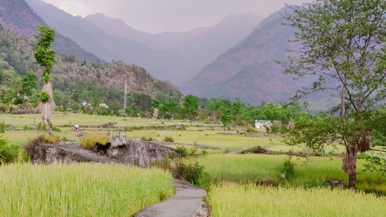 Photo of Outdoor in Chamoli