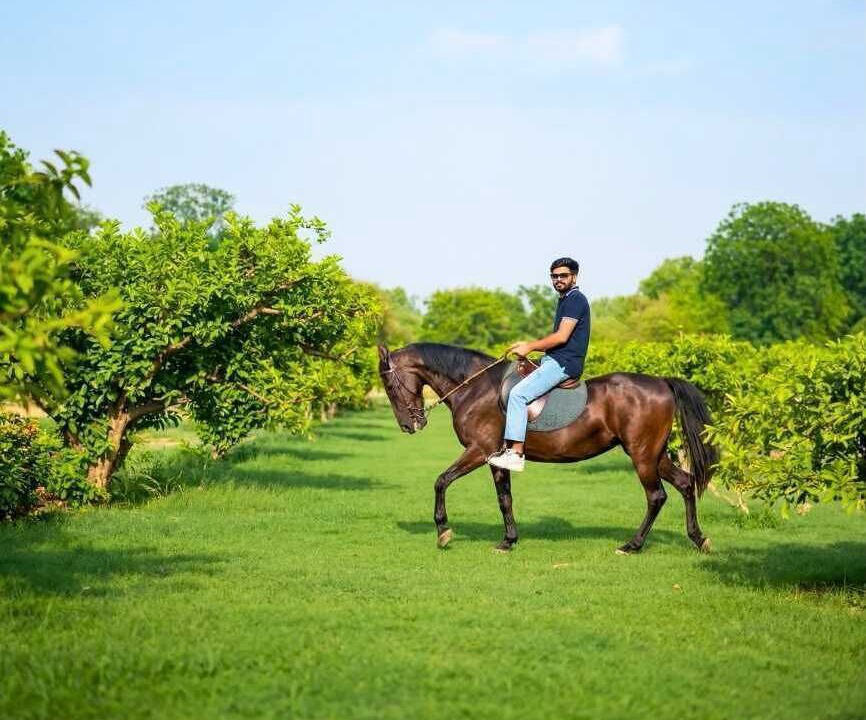 Photo of Outdoor in Sirsa