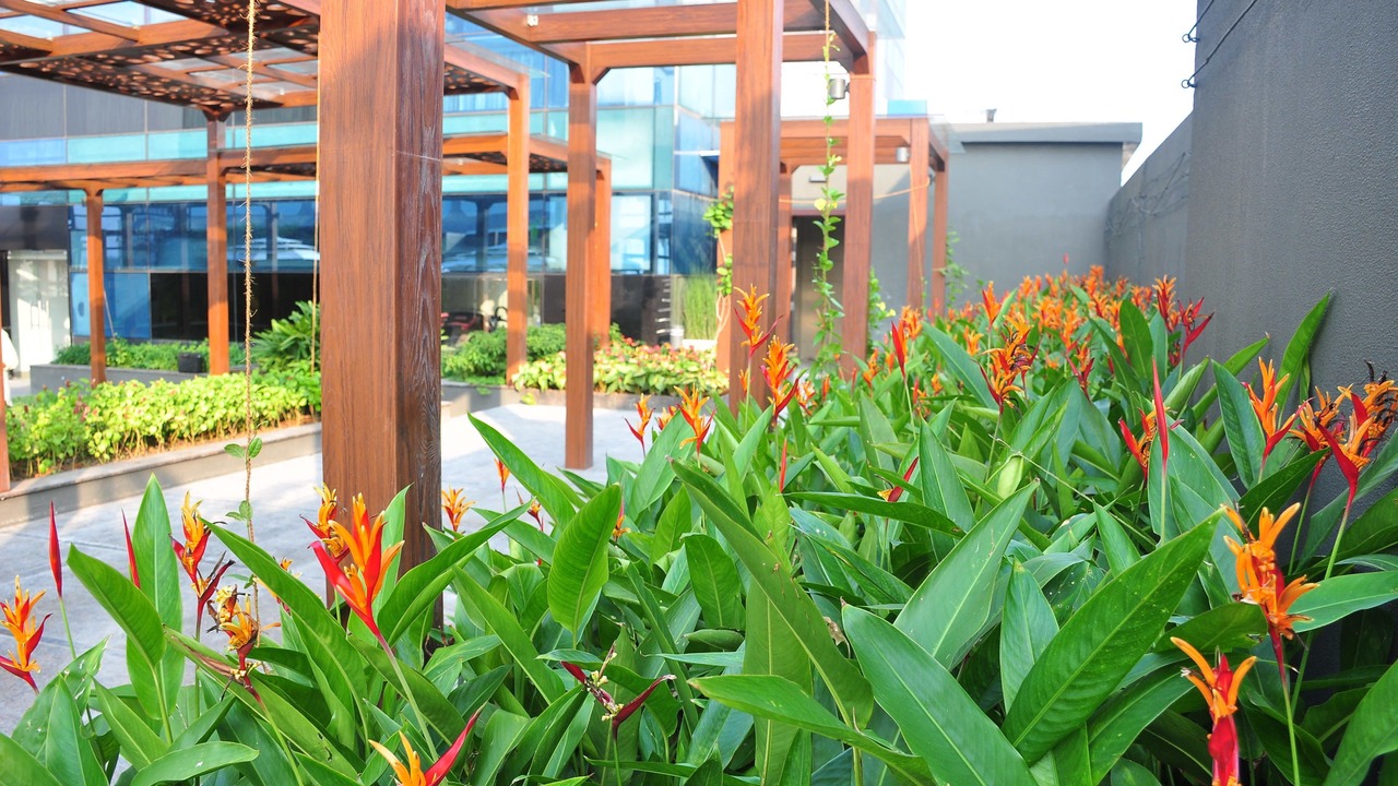 Photo of Outdoor in Kozhikode