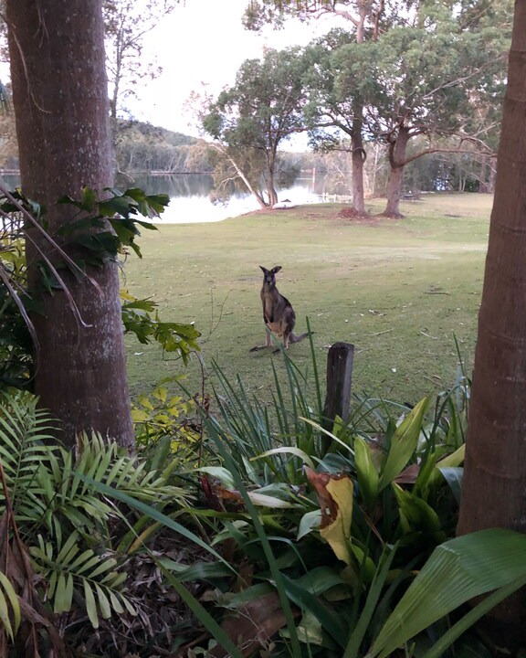 Photo of Others in Lake Conjola