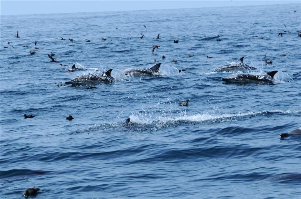 Photo of Others in Eden