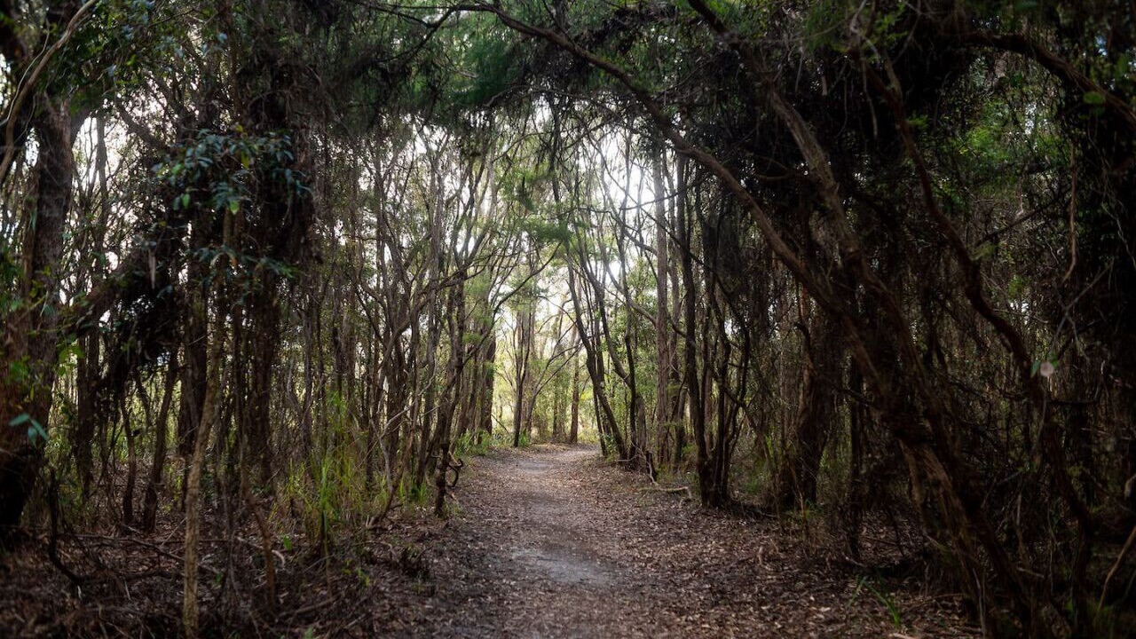 Photo of Others in Coffs Harbour