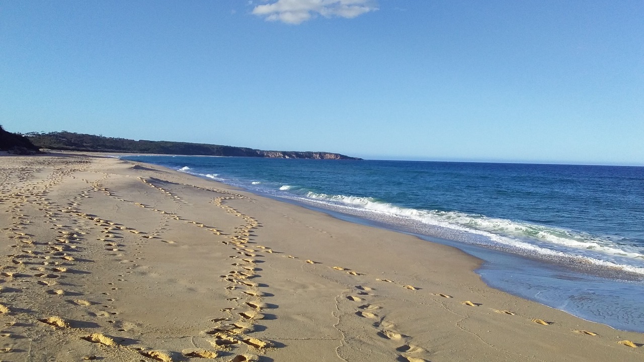 Photo of Others in Tura Beach