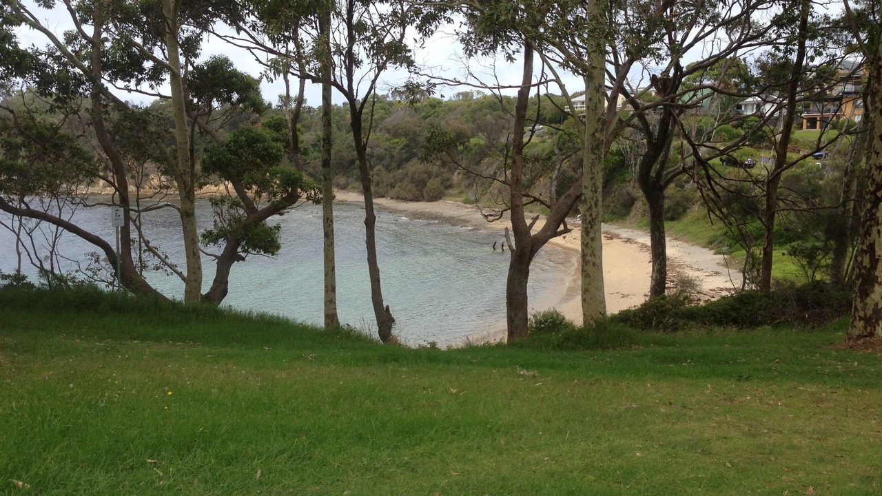Photo of Others in Malua Bay