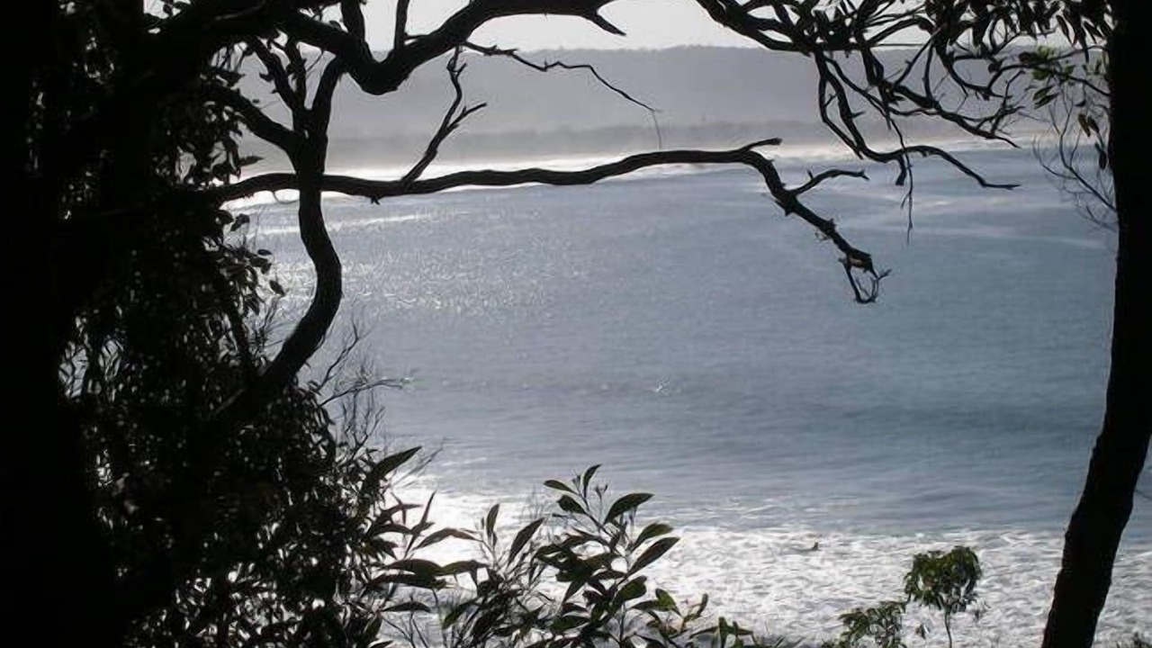 Photo of Others in Tathra