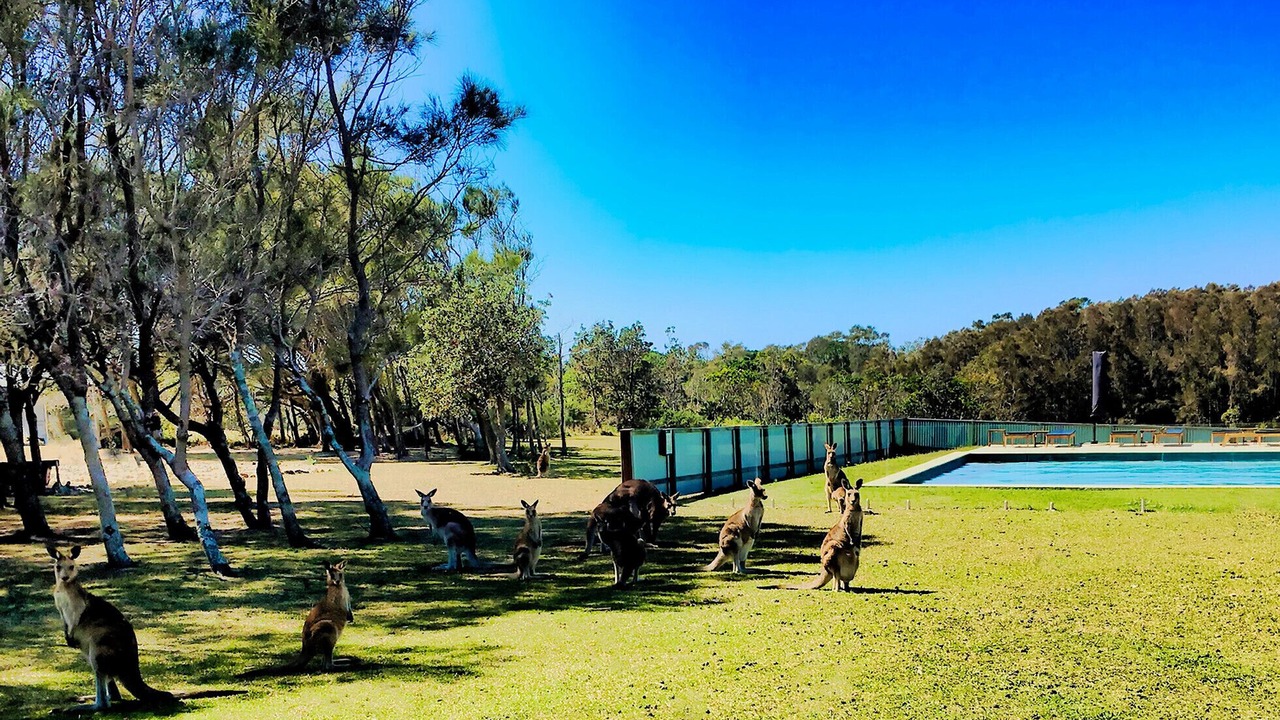 Photo of Outdoor in Woolgoolga