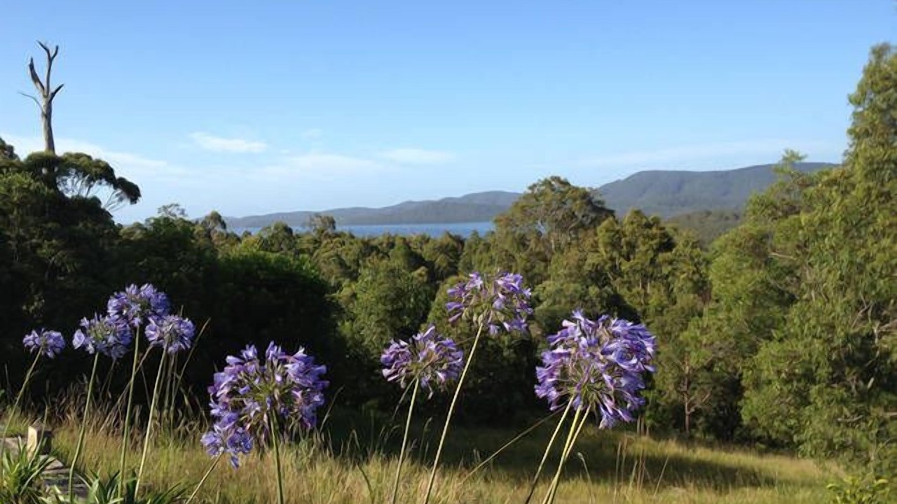 Photo of Outdoor in Mayers Flat