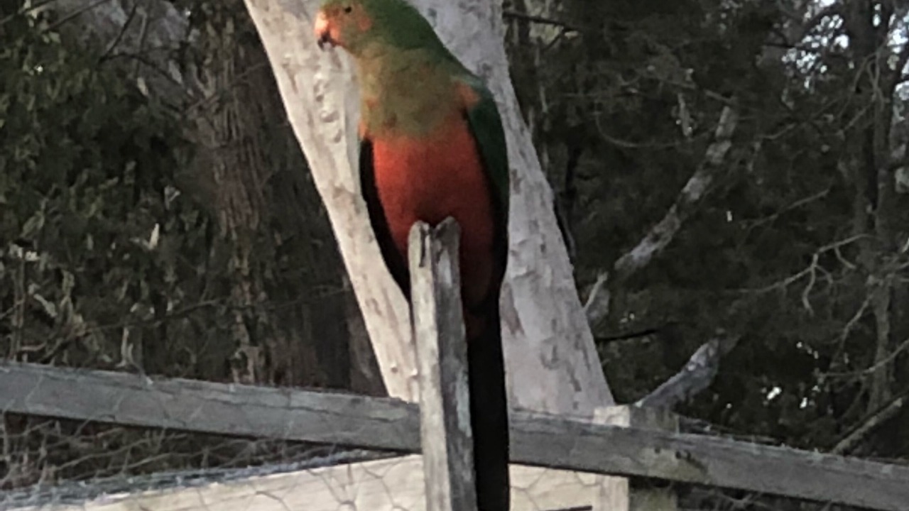 Photo of Others in Sussex Inlet