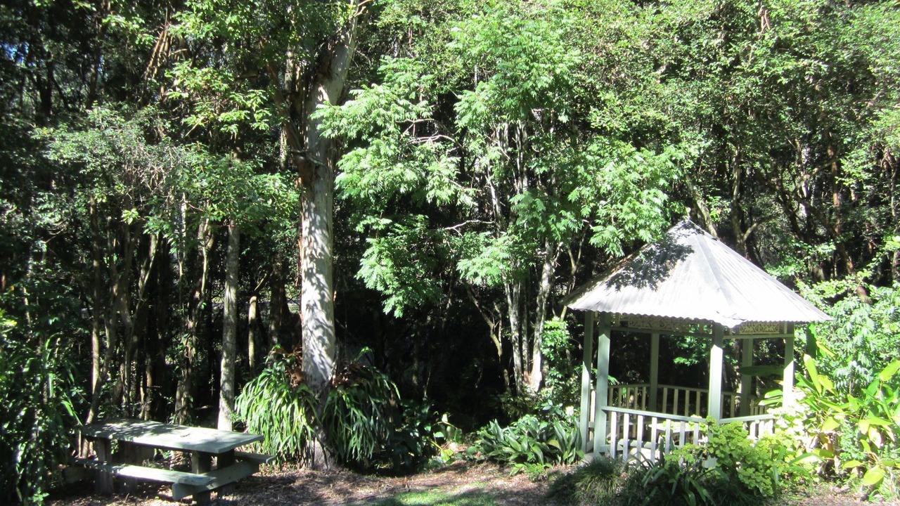 Photo of Outdoor in Upper Orara